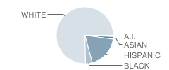 Ethel R Jones Elementary School Student Race Distribution