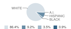 South Haven Elementary School Student Race Distribution