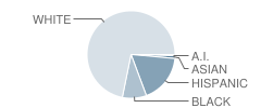 Wallace Aylesworth Elementary School Student Race Distribution