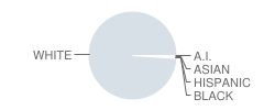 Rockville Jr-Sr High School Student Race Distribution