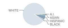 Shelbyville Middle School Student Race Distribution