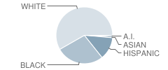 Riley High School Student Race Distribution