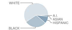 Nuner Primary Center School Student Race Distribution