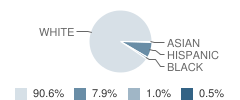 South Newton Elementary School Student Race Distribution