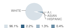 Patricksburg Elementary School Student Race Distribution