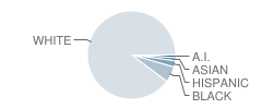 Taylor High School Student Race Distribution