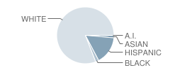 Dayton Elementary School Student Race Distribution