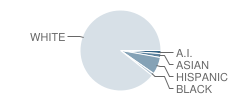 Union Township Middle School Student Race Distribution