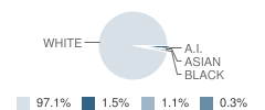 Laville Jr-Sr High School Student Race Distribution