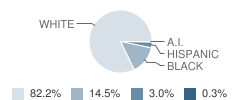 Davis Park Elementary School Student Race Distribution