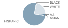 Riverside Elementary School Student Race Distribution