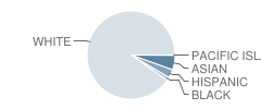 Manchester Park Elementary School Student Race Distribution