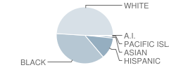 Lawrence Gardner High School Student Race Distribution