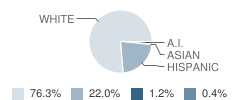 Scott City Middle School Student Race Distribution