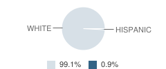 Bartlett Elementary School Student Race Distribution