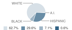 Frances Willard Elementary School Student Race Distribution