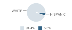 Axtell High School Student Race Distribution