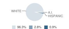 Baileyville-St. Benedict High School Student Race Distribution