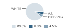 Cedar Vale High School Student Race Distribution