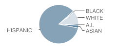 Miller Elementary School Student Race Distribution