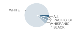 Skelly Elementary School Student Race Distribution