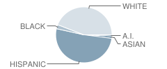 Emporia Middle School Student Race Distribution