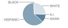 Georgia Matthews Elementary School Student Race Distribution