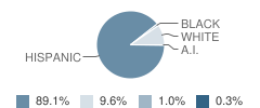 Riley Elementary School Student Race Distribution