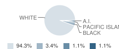 White City High School Student Race Distribution