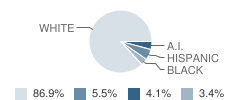 Humboldt High School Student Race Distribution