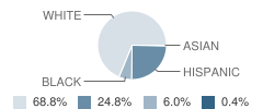 Faris Elementary School Student Race Distribution