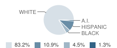 Wiley Elementary School Student Race Distribution