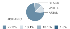 New Stanley Elementary School Student Race Distribution