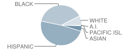 Wyandotte High School Student Race Distribution