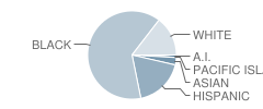 D D Eisenhower Middle School Student Race Distribution