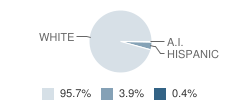 Kingman High School Student Race Distribution