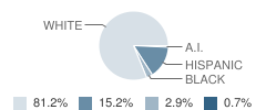 Northside Elementary School Student Race Distribution