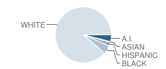 Wakarusa Valley Elementary School Student Race Distribution
