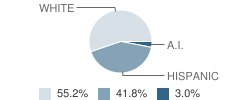 Lewis Elementary School Student Race Distribution