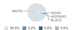 Lincoln High School (Junior / Senior) Student Race Distribution