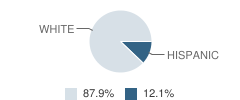 Meade High School Student Race Distribution