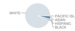 Cedar Creek Elementary School Student Race Distribution