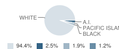 Pleasanton High School Student Race Distribution