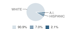 Mattie O Haskins Elementary School Student Race Distribution