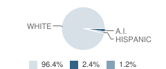 Blue Valley High School Student Race Distribution