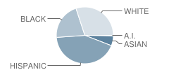 Shawanoe Elementary School Student Race Distribution