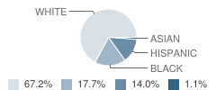 Bonjour Elementary School Student Race Distribution