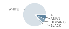 Blue River Elementary School Student Race Distribution