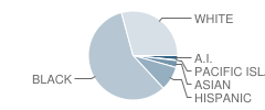 Buckner Performing Arts Magnet Elementary School Student Race Distribution