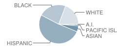 Caldwell Elementary School Student Race Distribution